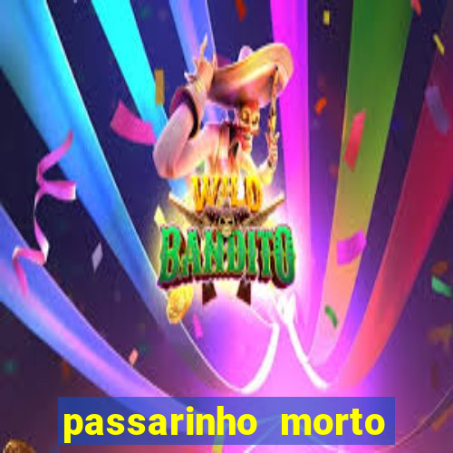 passarinho morto significado espiritual